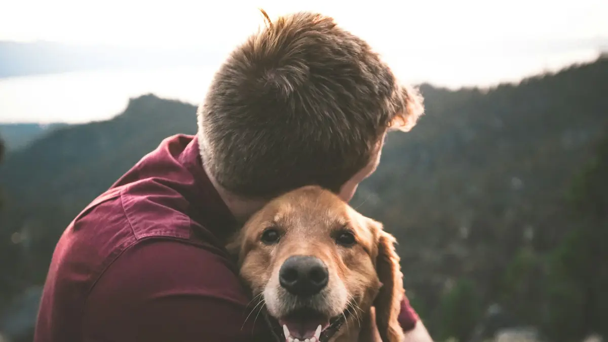 Industria de mascotas en Colombia abre espacio a modelos basados en tecnología

El mercado de cuidado animal evoluciona hacia soluciones digitales y preventivas.

Detalles ⬇️