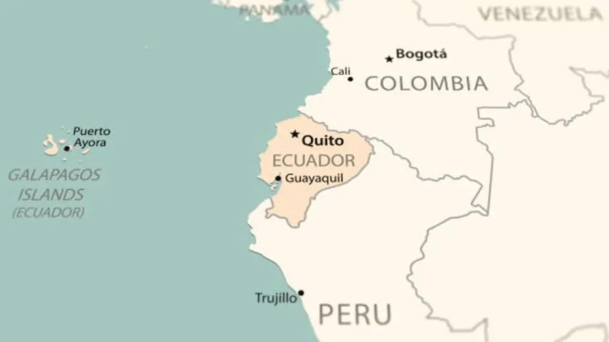 Empresarios andinos piden diálogo ante medidas de Colombia y Ecuador que afectan el comercio subregional