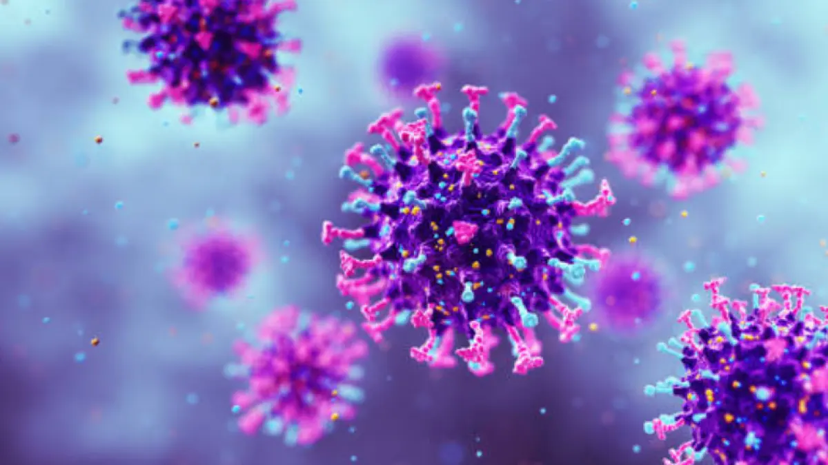 India activa alerta epidemiológica por nuevo brote del virus Nipah y pone bajo vigilancia a casi 190 contactos