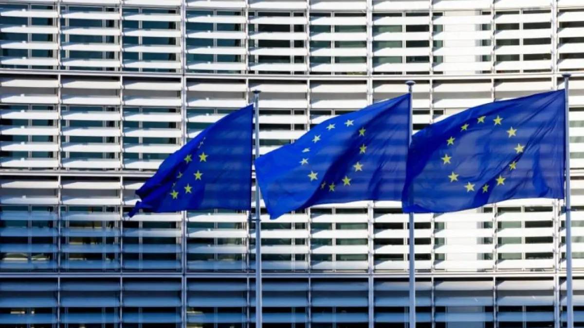 European Parliament Negotiator Calls for 'Clarity and Determination' in Response to New Trump Tariffs