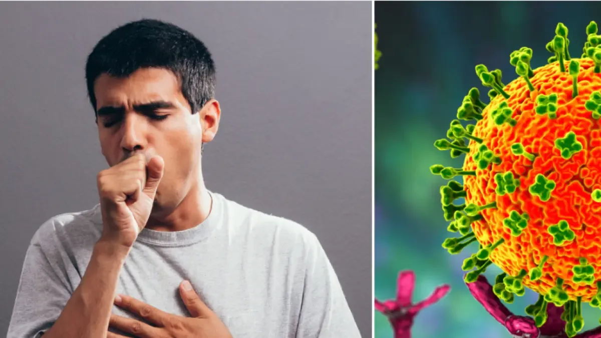 Colombia descarta casos de virus Nipah y mantiene vigilancia por alerta en India