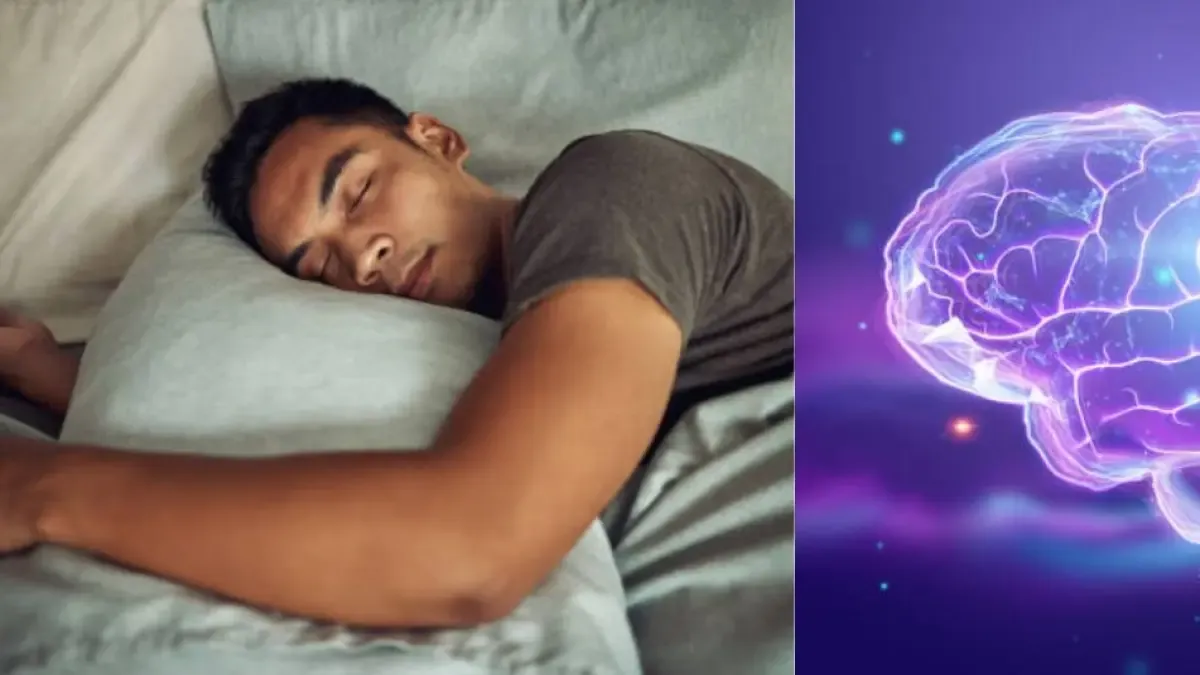 Take naps in the afternoon? Study confirms it reorganizes the brain and enhances learning ability