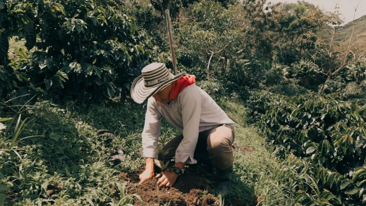 Minimum wage: Coffee Growers' Federation asks to prioritize productivity and tertiary roads