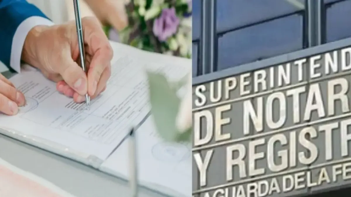 Attention users: new notarial fees for 2026 have taken effect nationwide
