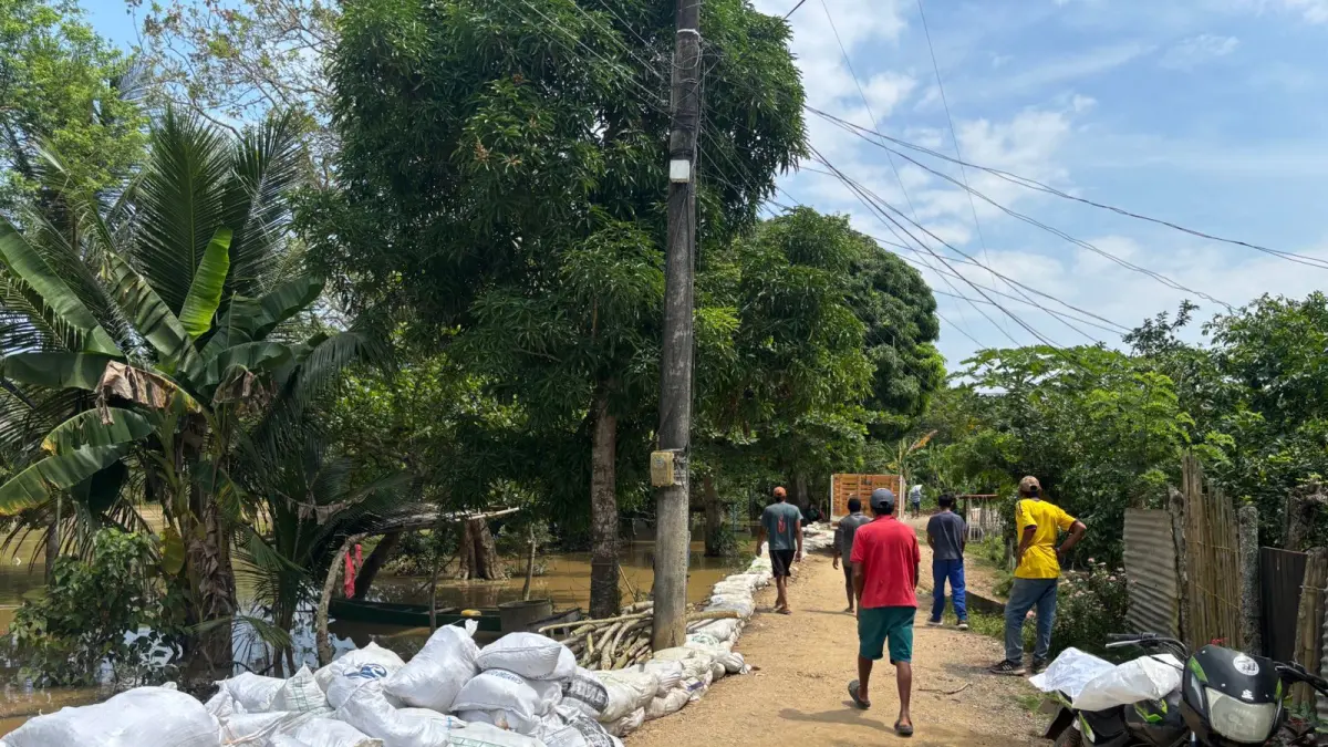 Government activates refinancing and extensions after 19,800 hectares affected by winter wave