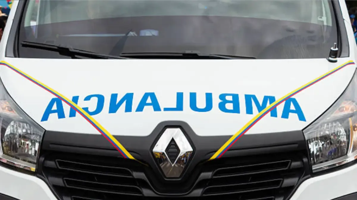 Resolution project on light cargo vehicles could affect ambulance replacement, according to Andemos