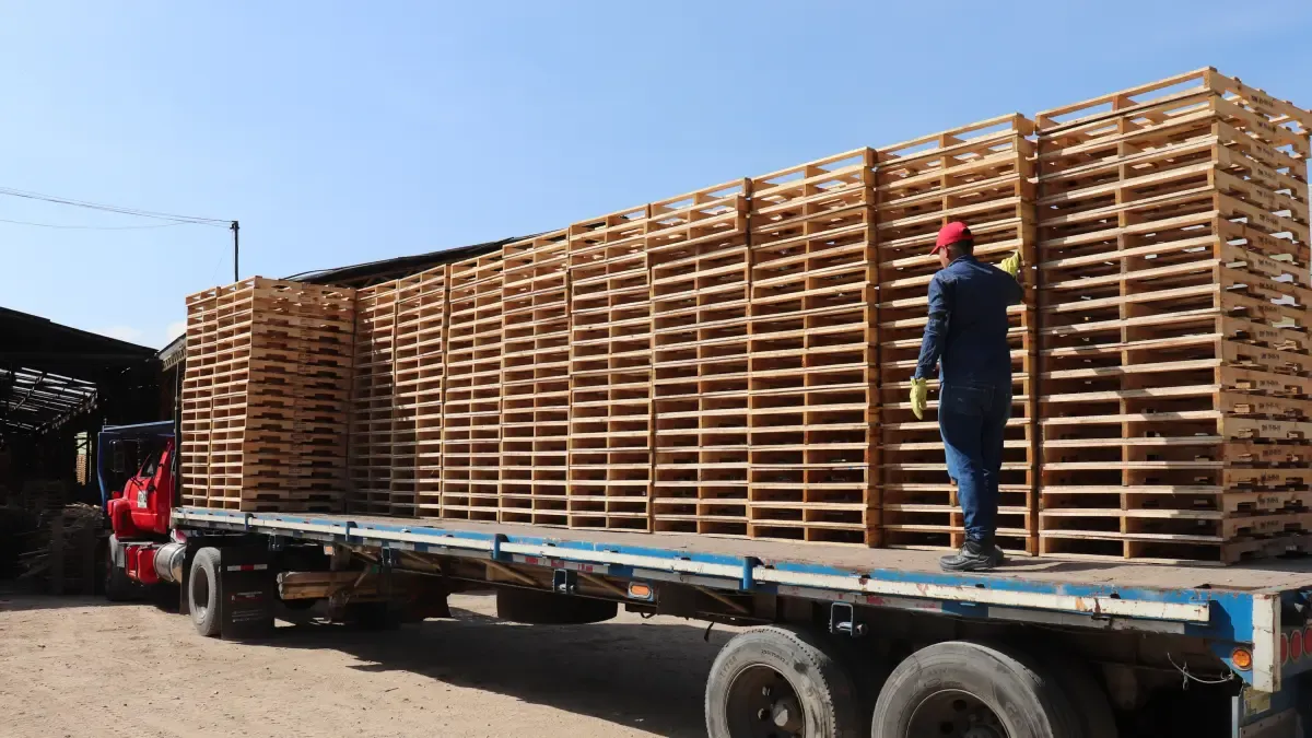 The remanufacturing of pallets drives the growth of Central de Maderas and its expansion plan in Colombia