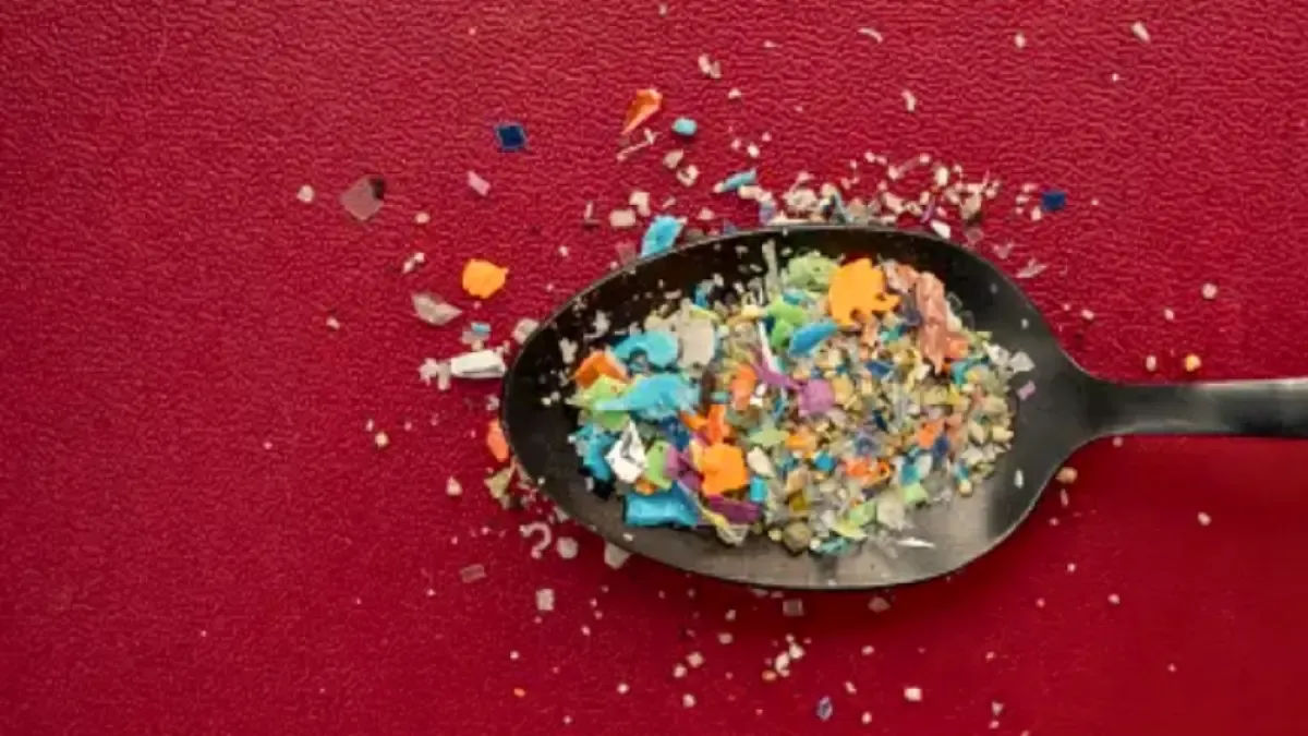 Scientific study reveals how rivers in flood move plastics to the ocean