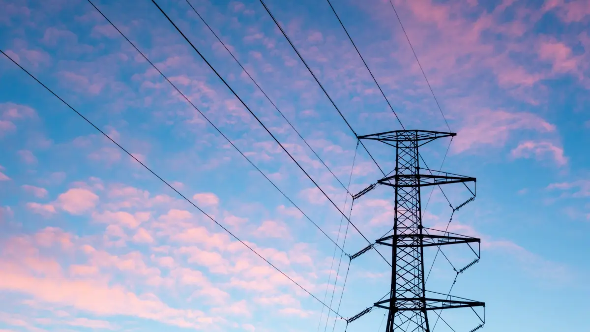 ACP warns that wealth tax from the economic emergency would affect investment in the energy sector