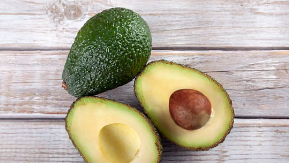 Hass avocado exports grew 21.3% and reached US$375 million in 2025
