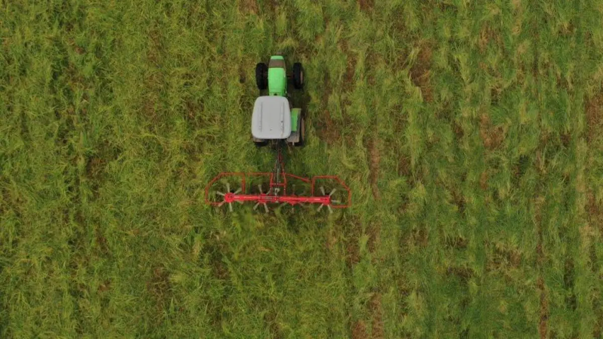 ANT denuncia bloqueo a la reforma agraria en el Valle del Cauca: solo 5.000 de 70.000 hectáreas fueron entregadas

La entidad responsabilizó directamente a la Gobernación del Valle.

Detalles⬇️