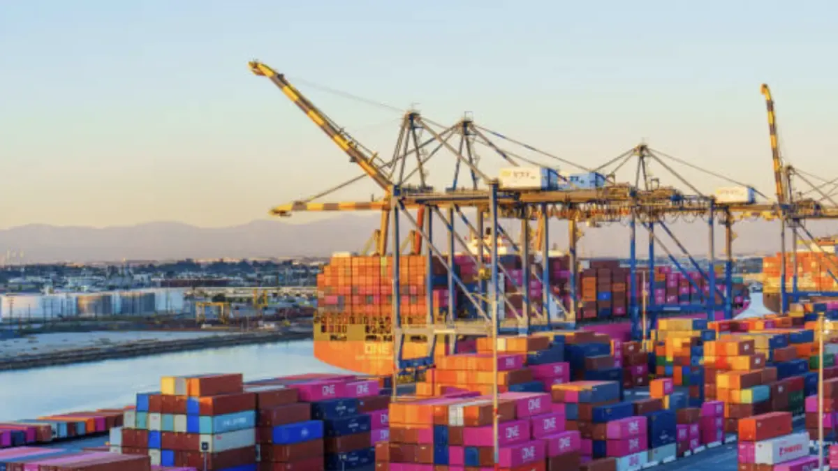 98% of Colombian Foreign Trade Depends on the Sea: Experts Analyze Sector Risks