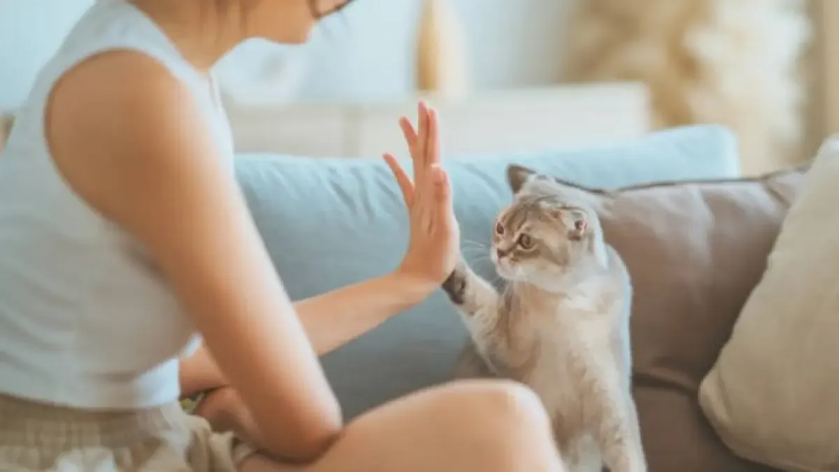How Pet Food Purchase Habits Are Changing: Small Presentations Preferred