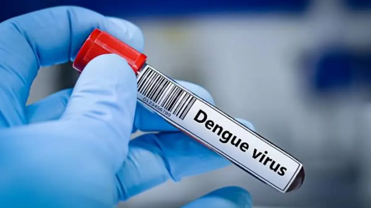 Dengue in Holy Week: Over 20,000 cases in 2026 and risk in 90% of the national territory