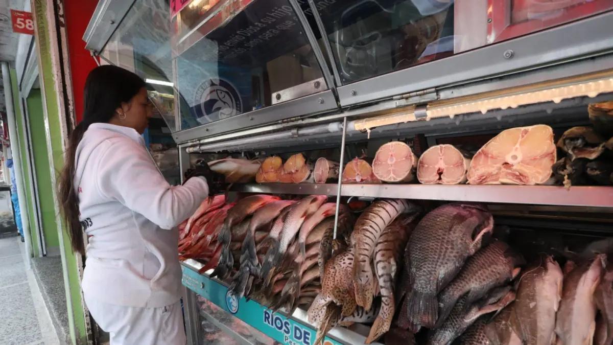 #PortafolioRecomienda Crisis con Ecuador presionaría consumo de pescado en Semana Santa y alerta por comercio ilegal fronterizo

Se estima que el país consuma 50.000 toneladas en este tipo de productos durante la temporada.

Detalles ⬇️