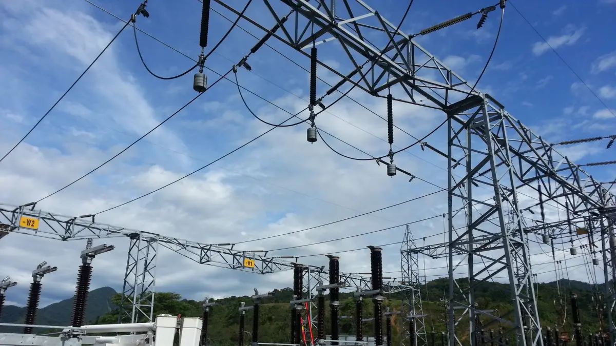 Minority shareholders of Electrificadora del Meta alerted about changes in the selection process for executives
