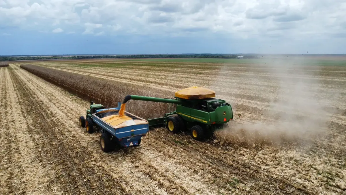 Grain Production Falls in 2025, Sounding the Alarm on Food Security in Colombia