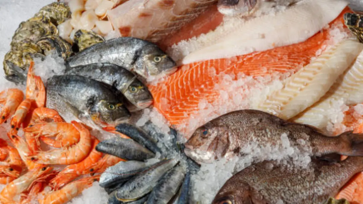 Bogotá tendrá un festival del pescado en Semana Santa: fechas y horas clave de esta celebración

El centro comercial Nuestro Bogotá será el epicentro de la cita que promete experiencias gastronómicas únicas.

Detalles ⬇️