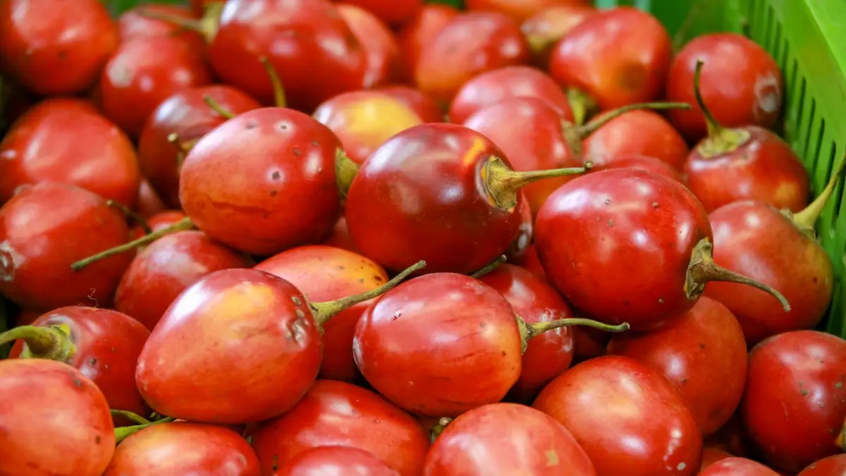 Food pressures inflation in March due to lower supply and seasonal effects on key products