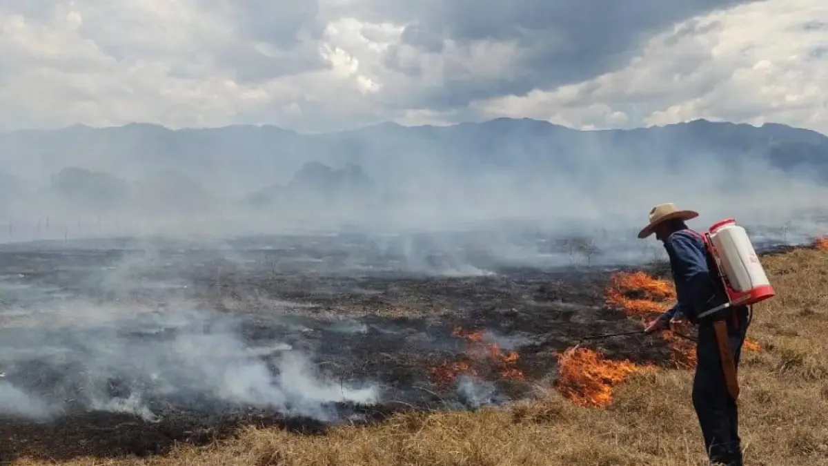 Estiman que el fenómeno de El Niño llegará a Colombia en el segundo semestre del año podría ser el más intenso

Análisis indican que el país mantendría condiciones climáticas cercanas a la neutralidad hasta finales de mayo.

Detalles ⬇️