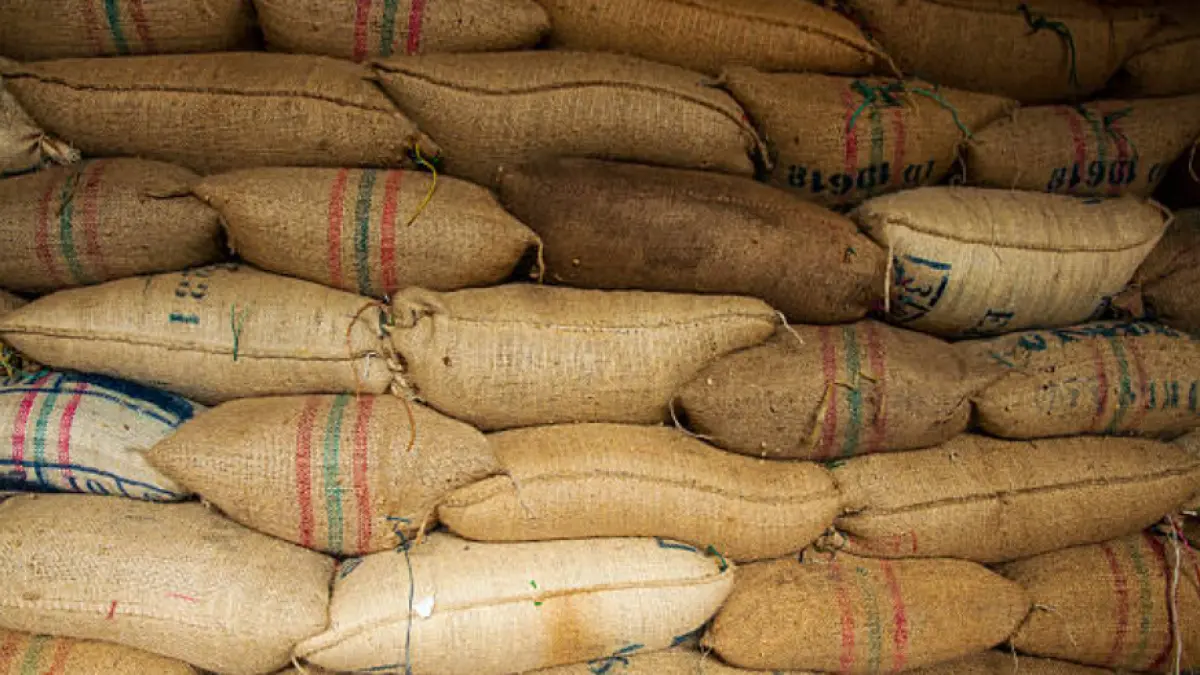 #PortafolioRecomienda Clima y revaluación, el punto de quiebre para la caficultura

Desde la FNC ven una oportunidad de cautivar el mercado externo por interés de consumo de café.

Detalles ⬇️