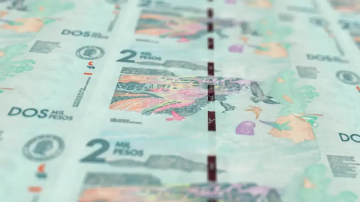 Last days to pay ICA in Bogotá: deadline approaches and option to contribute to educational scholarships remains