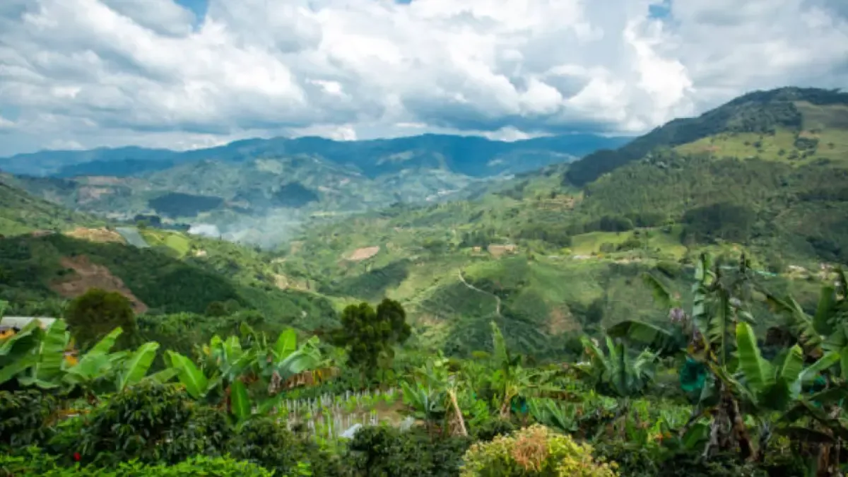 #PortafolioRecomienda Temores por la actualización catastral ya contagiaron al agro

Incremento de avalúos, más subida del impuesto al patrimonio, deja en la cuerda floja la rentabilidad.

Detalles ⬇