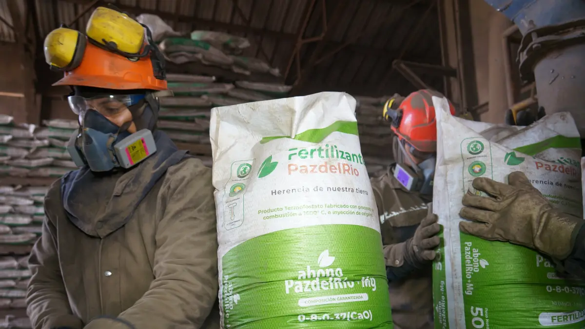 Ante la crisis internacional que amenaza el agro, Fertilizantes @PazdelRioSA apuesta por fortalecer sus capacidades

Este negocio de la reconocida siderúrgica nacional tuvo el mejor primer trimestre de su historia.

Más información