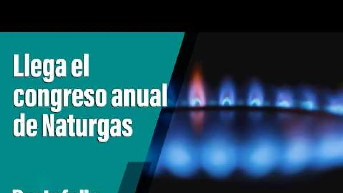 Amidst political and economic tensions, Naturgas's annual congress arrives