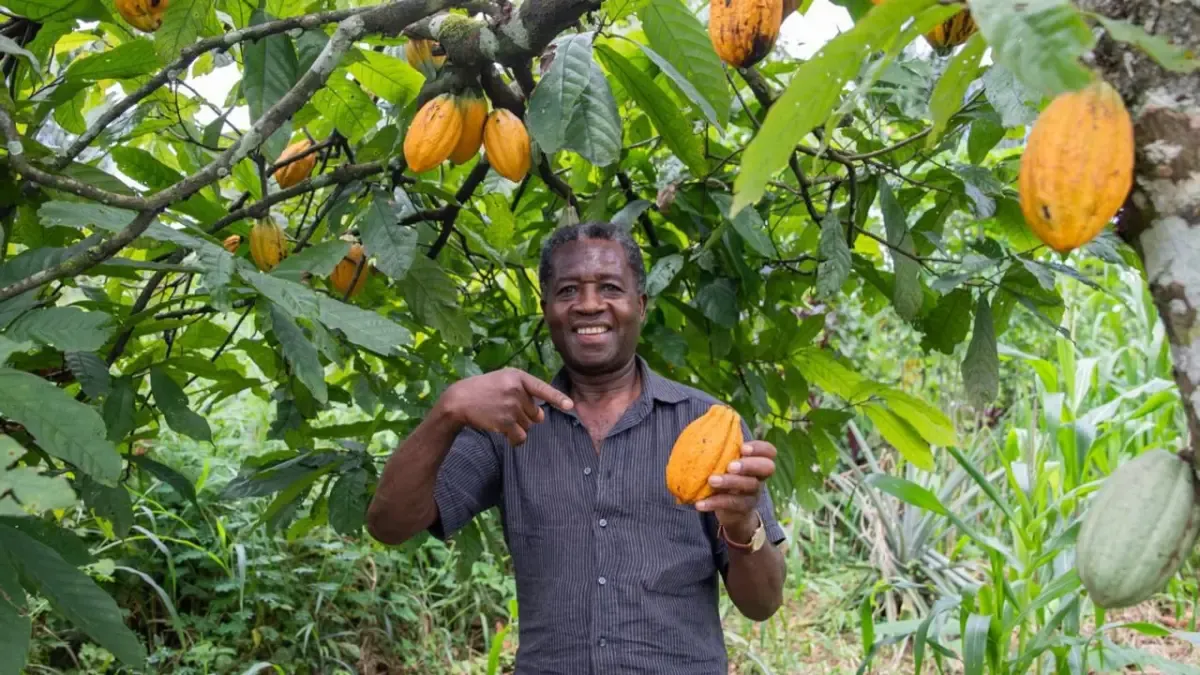 Minagricultura lanza subsidios por $147.000 millones para abaratar crédito y reactivar inversión rural en Colombia

Productores podrán acceder a tasas desde 0,5% mensual y apoyos de hasta 40% de la inversión en proyectos rurales.

Lea más