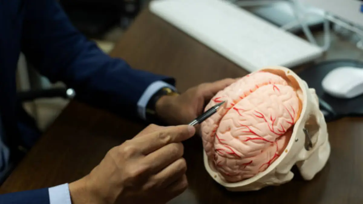 Confusing a Stroke with Drunkenness: The Error That Delays Medical Attention and Can Have Fatal Consequences
