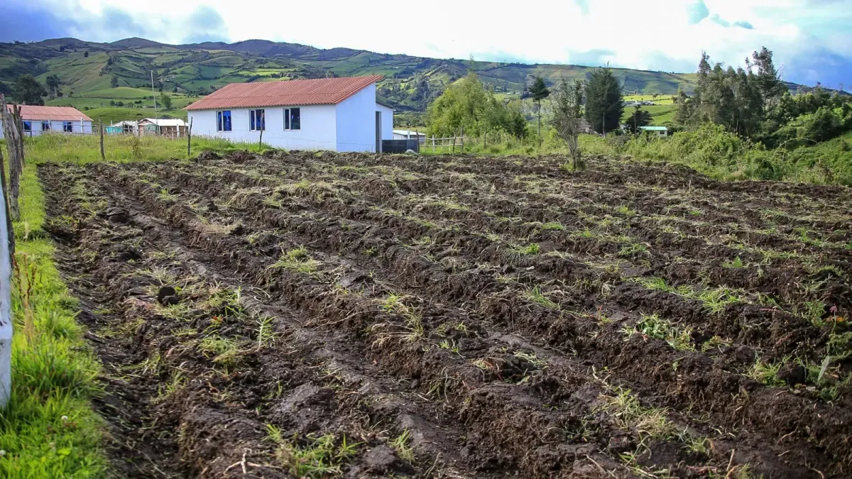 Comptroller General Warns of Risks Compromising Implementation of Food Production Protection Areas