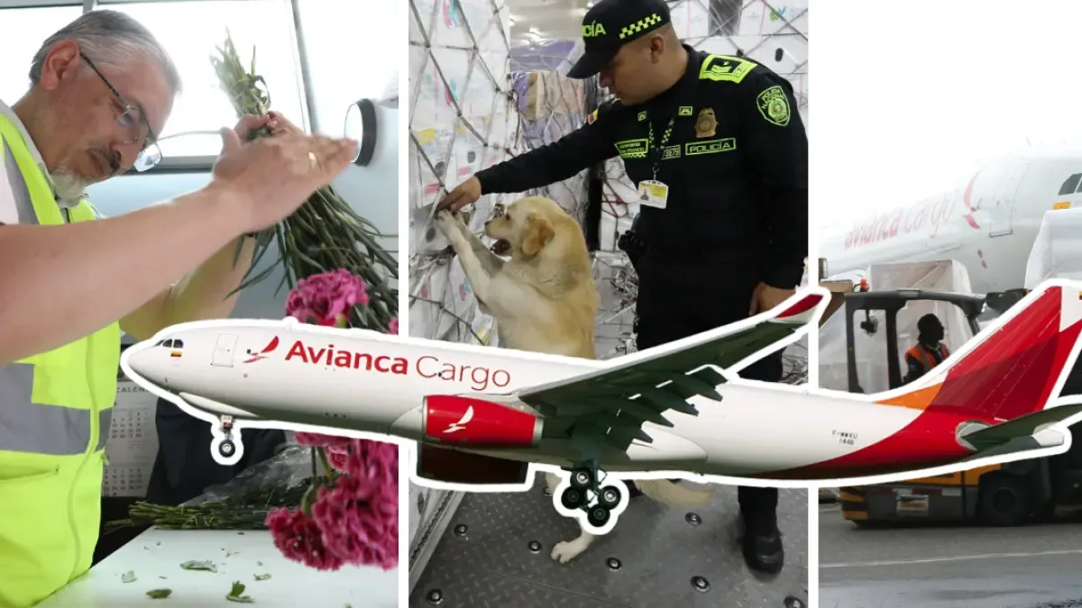 From the farm to the plane: the logistics route that turns a Colombian flower into a Mother's Day gift