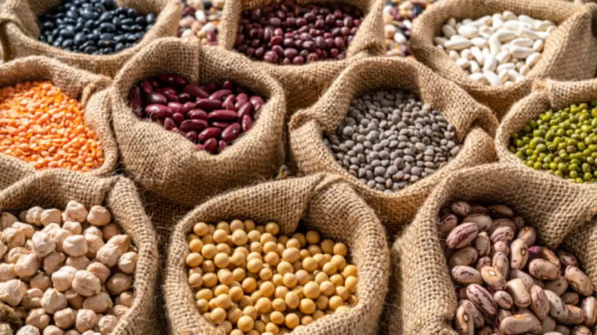 ¿El agro colombiano está impulsando la economía?, esto dice el Ministerio de Agricultura

Leche, legumbres, flores y panela lideran el crecimiento rural en el primer trimestre del año.

Detalles ⬇️