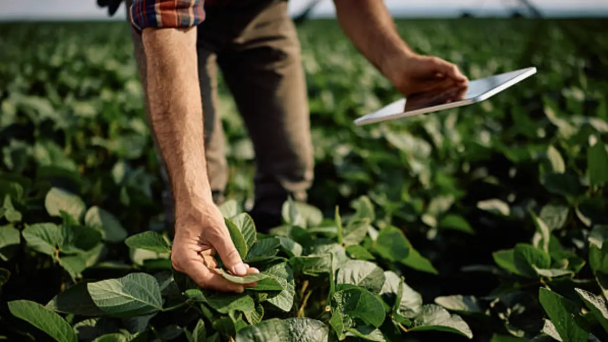 El agro pasa de jalonar la economía a enfrentar un escenario marcado por clima y costos altos