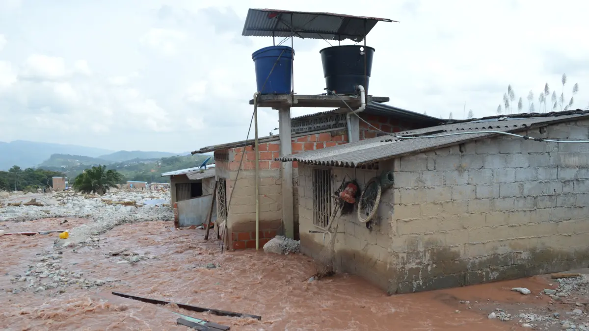Uno de cada cinco hogares en Colombia tiene un pro