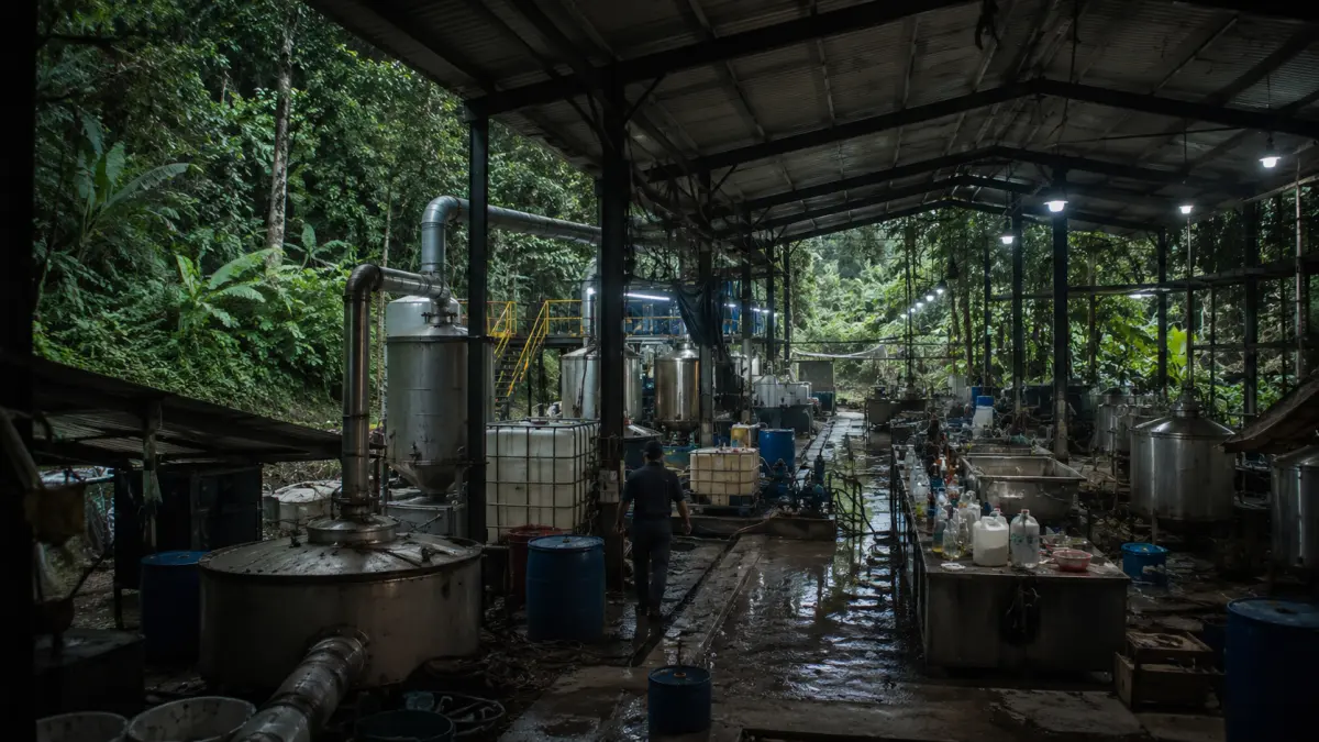 Colombia llega mejor a la evaluación antidrogas de EE. UU., pero aún enfrenta un reto: reducir la oferta de coca