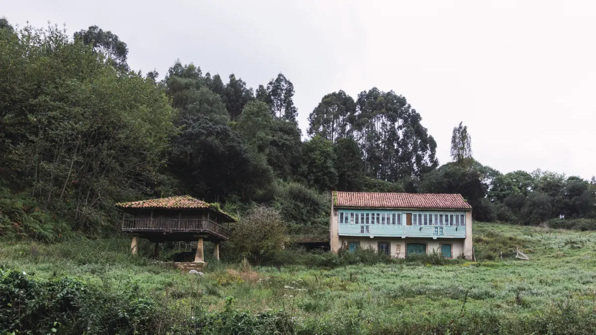 Inseguridad jurídica en la propiedad rural: el problema que afecta al 52,2 % de la tierra en Colombia