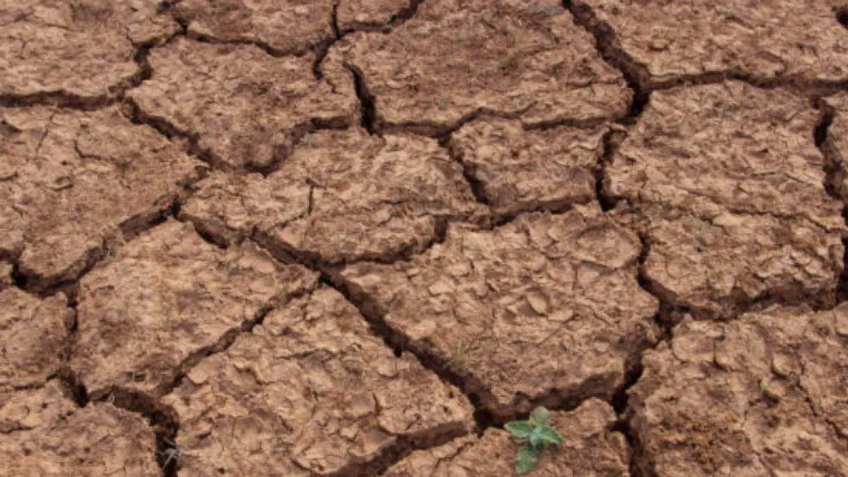 Le phénomène El Niño pourrait affecter la productivité et augmenter le coût de la vie, avertissent les experts