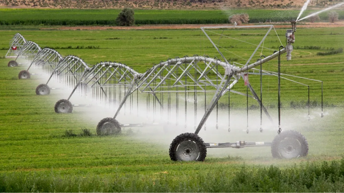 Minagricultura busca adaptar a Colombia el seguro agrario de España tras conocer su experiencia