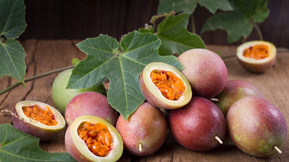 Gulupa lleva la bandera: frutas exóticas elevan sus exportaciones a US,1 millones en lo que va de 2026