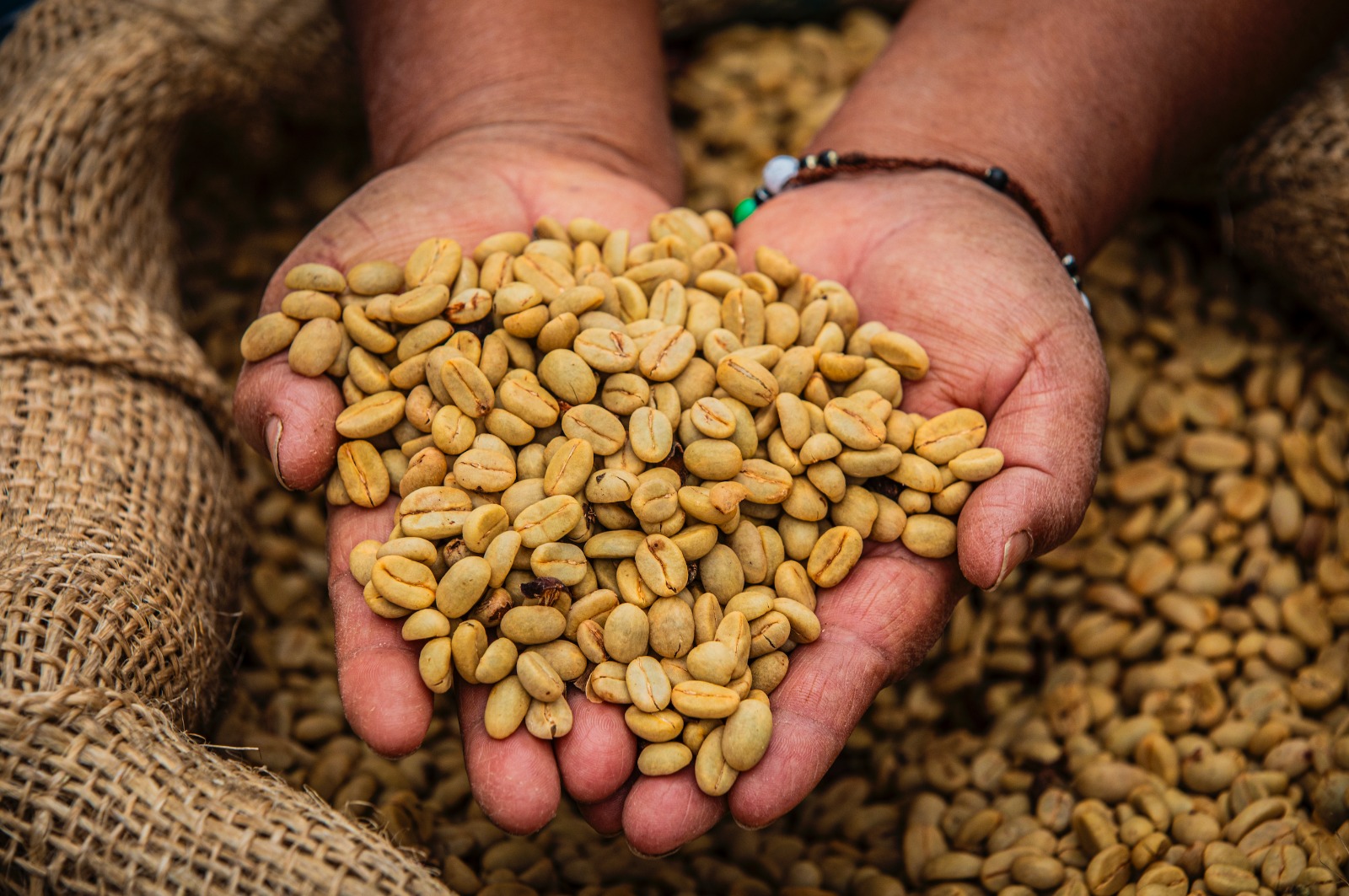 Expocafé ha destinado más de US$156.000 en certificaciones y sostenibilidad.