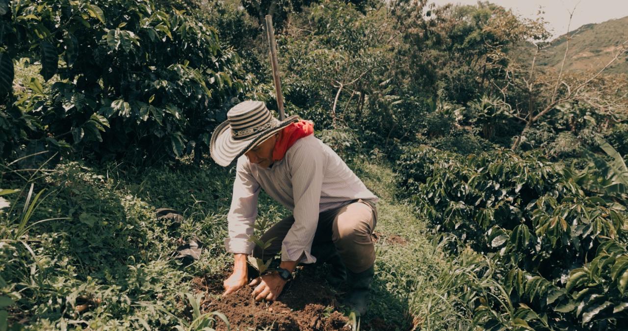 Juntos por el Café, es el programa de Starbucks en el país.